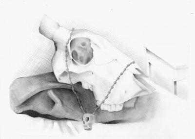 Animal Skull in Sheets (2016)