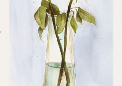 Roses (2016)